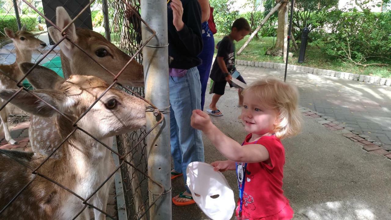 垦丁大街 垦丁福华渡假饭店酒店 外观 照片 Feeding the kangaroos